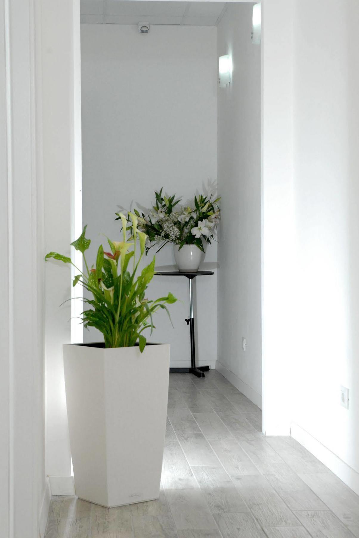 Bed & Breakfast Gardenia