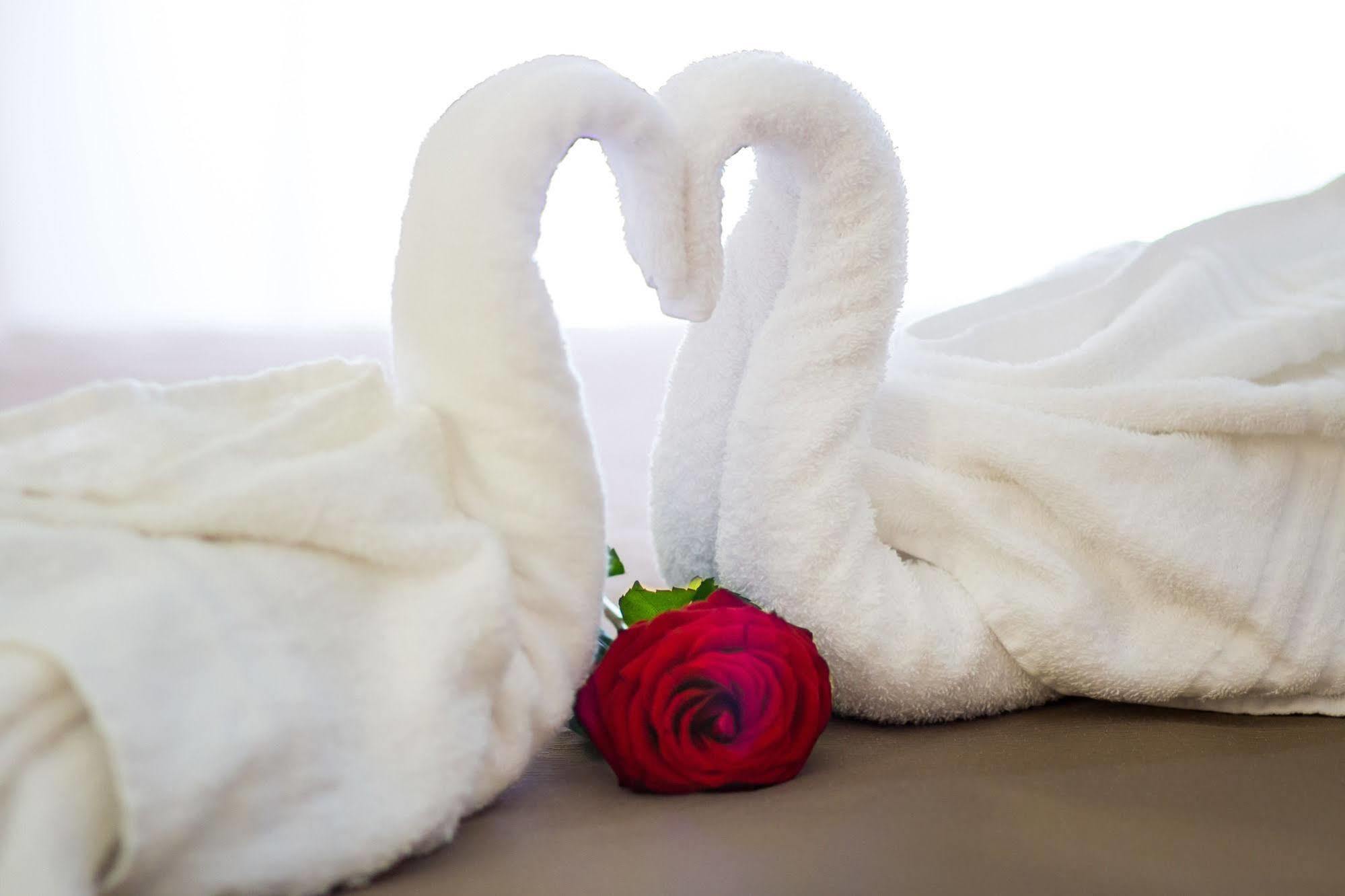 Bed & Breakfast Gardenia Roma